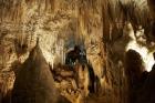 Aranui Cave, Waitomo, North Island, New Zealand