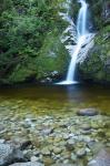 Dorothy Falls, Lake Kaniere, South Island, New Zealand