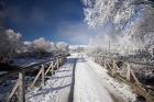 Winter, Bridge, Maniototo, South Island, New Zealand