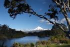 Lake Mangamahoe, Mt Taranaki, North Island, New Zealand