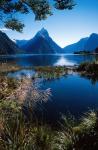 New Zealand, Mitre Peak, Milford Sound, Fiordland NP