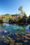 Pupu Springs, Golden Bay, South Island, New Zealand