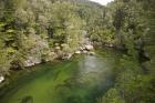 Falls River, Abel Tasman, South Island, New Zealand