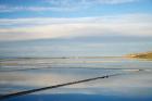 New Zealand, South Isl, Evaporation Ponds, Lake Grassmere