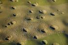 New Zealand, South Island, Sinkholes, Sheep, Agriculture