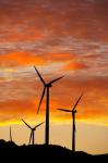 New Zealand, North Island, Te Apiti Wind Farm, Energy