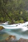 New Zealand, North Island, Rapids on Tarawera River