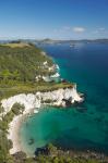 Coastline, Cathedral Cove, North Island, New Zealand