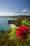 Coastline, Cooks Beach, North Island, New Zealand