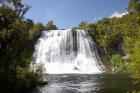 Papakorito Falls, Te Urewera, North Island, New Zealand