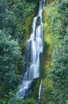 Waterfall, Centennial Gardens, Napier, Hawkes Bay, North Island, New Zealand
