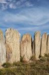 Stone sheep yards, Middlemarch, South Island, New Zealand