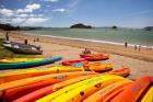 Kayaks on beach, Paihia, Bay of Islands, Northland, North Island, New Zealand