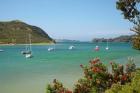 Yachts moored in Waipiro Bay, North Island, New Zealand