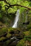 Matai Falls, Catlins, South Otago, South Island, New Zealand