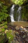 Horseshoe Falls, Matai Falls, Catlins, New Zealand