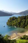 Whenuanui, Becks Bay, Marlborough Sounds, South Island, New Zealand