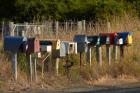 Rural Letterboxes, Otago Peninsula, Dunedin, South Island, New Zealand