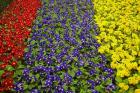 Flower garden at Dunedin Railway Station, South Island, New Zealand