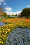 Flower garden, Pollard Park, Blenheim, Marlborough, South Island, New Zealand (vertical)