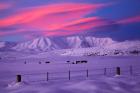 Sunset over Hawkdun Range and farmland, Maniototo, Otago, New Zealand