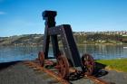 Dog sculpture, Otago Boat Harbor Reserve, Dunedin, Otago, New Zealand