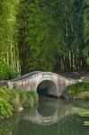 Chinese Scholar's Garden, North Island, New Zealand