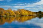 Autumn Colour And Clutha River At Kaitangata, South Island, New Zealand