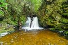 New Zealand, South Island, Hurunui, Waterfall