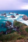 New Zealand, South Island, Nugget Point