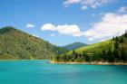 New Zealand, Cook Straight, Picton harbor