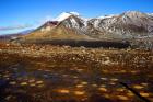 Tongariro NP, New Zealand, Volcanic plateau