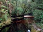 Oparara River, Oparara Basin, New Zealand