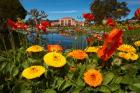 Flowers And Blue Baths, Government Gardens, Rotorua, North Island, New Zealand