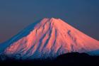 Alpenglow On Mt Ngauruhoe At Dawn, Tongariro National Park, New Zealand