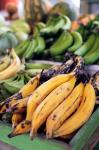 Fresh bananas at the local market in St John's, Antigua