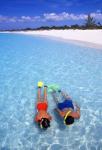 Snorkeling in the blue waters of the Bahamas