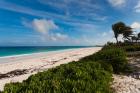 Bahamas, Eleuthera, Harbor Island, Pink Sand Beach