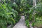 Pathway, Hemingway House, Hemingway Museum, Finca Vigia, Havana, Cuba