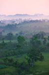 Limestone hill, farmland, Vinales Valley, UNESCO World Heritage site, Cuba