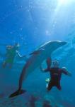 Caribbean Sea, Curacao