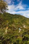 Dominica, Roseau, Grand Bay Area, Petite Savanne