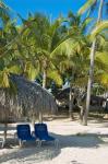 Beach Chairs, Viva Wyndham Dominicus Beach, Bayahibe, Dominican Republic