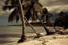 Playa Rincon beach, Las Galeras, Samana Peninsula, Dominican Republic