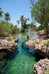 Alligator Hole, Black River Town, Jamaica, Caribbean