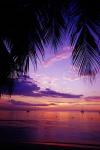 Sunset on the beach, Negril, Jamaica, Caribbean