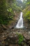 Puerto Rico, El Yunque, La Mina Waterfalls