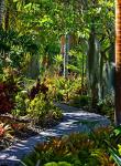 Nature Trail in Charlestown on Nevis, West Indies