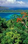 Magens Bay, St Thomas, Caribbean