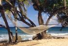 Hammock tied between trees, North Shore beach, St Croix, US Virgin Islands
